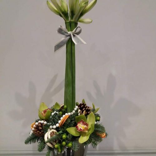 FB_IMG_1540818397735 FB_IMG_1540818397735