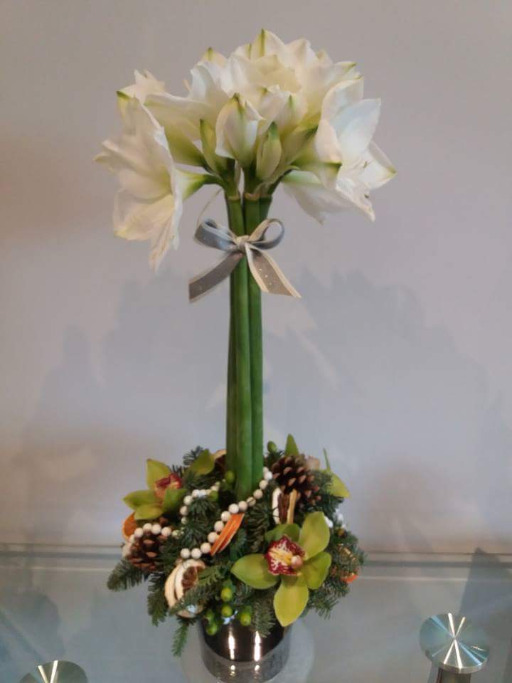 Holly (Xmas) - Image 2