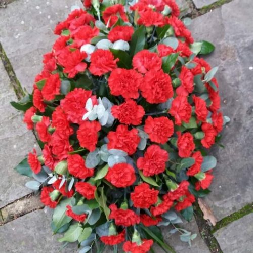 Carnation double ended spray- 5 colours available