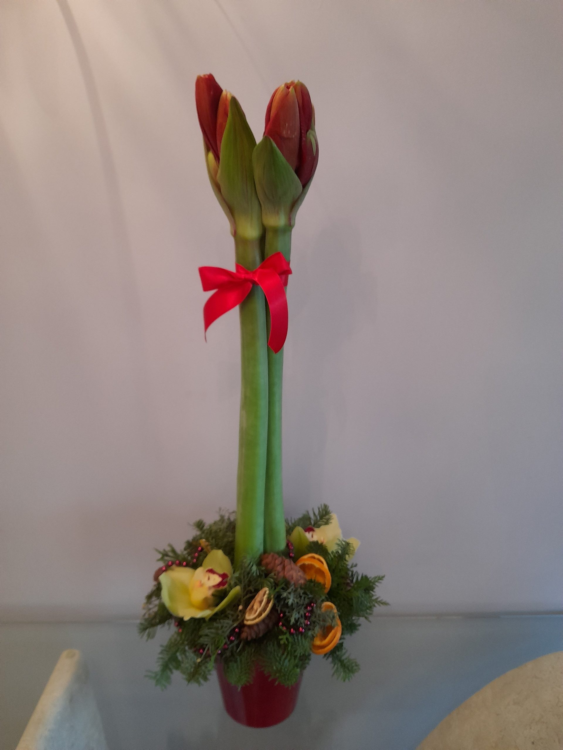 Holly (Xmas) - Image 3