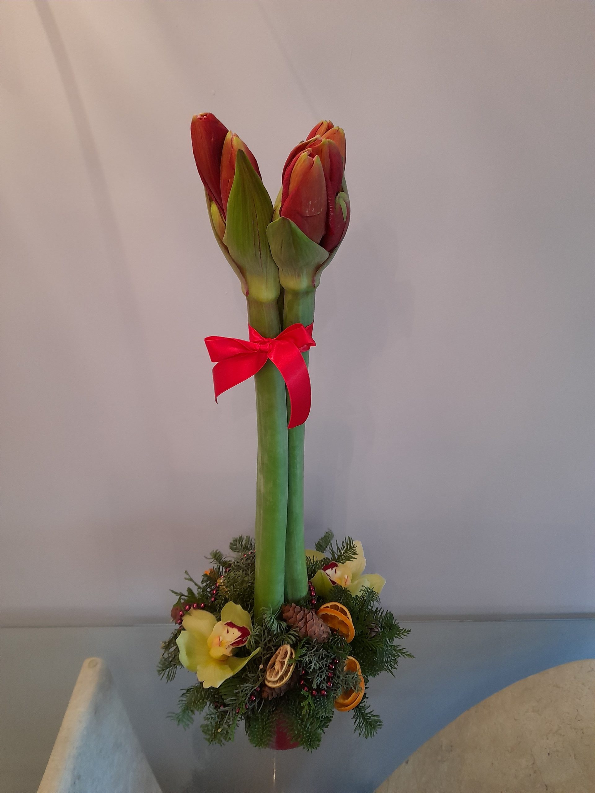 Holly (Xmas) - Image 4