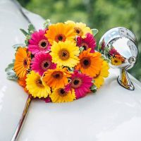 wedding and funeral flowers harpenden